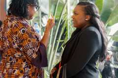 IMG_3884-5-11