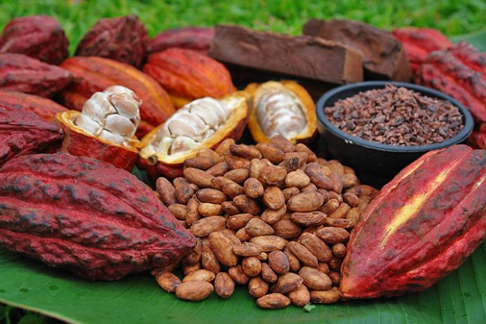 cafe-cacao